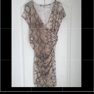 Jennifer Lopez Fitted Dress